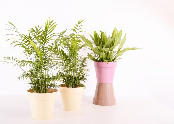 Inspirer la sérénité : l'impact des plantes artificielles sur l'ambiance intérieure